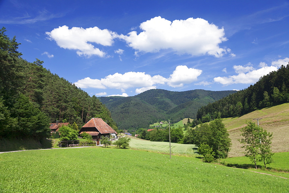 Black Forest house, Gutachtal Valley, Black Forest, Baden Wurttemberg, Germany, Europe