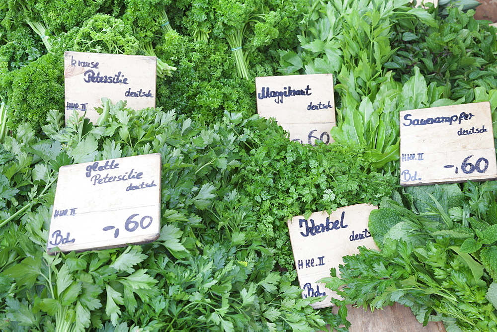 Fresh herbs at a market stall, weekly market, market place, Esslingen, Baden Wurttemberg, Germany, Europe