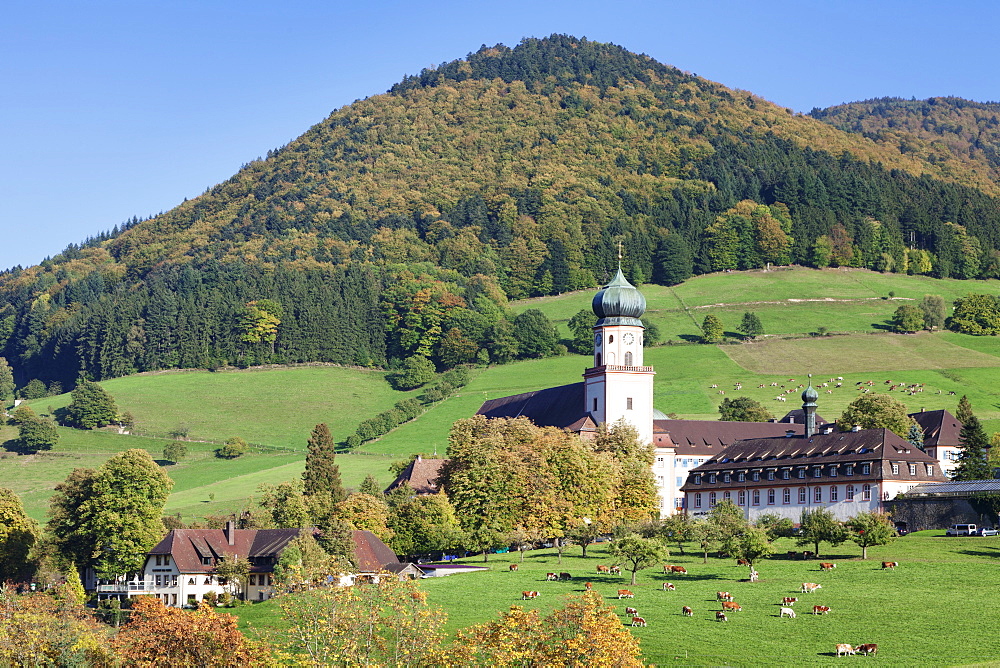 Kloster St. Trudpert Monastery, Munstertal, Munstertal Valley, Black Forest, Baden Wurttemberg, Germany, Europe