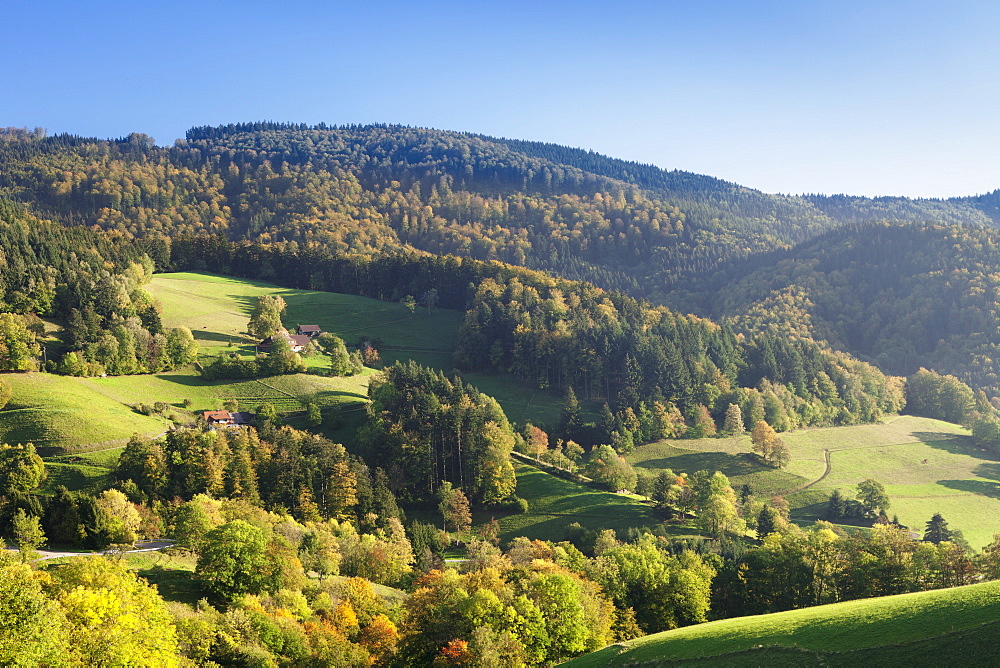 Black Forest house, near St. Ulrich, Schauinsland Mountain, Black Forest, Baden Wurttemberg, Germany, Europe