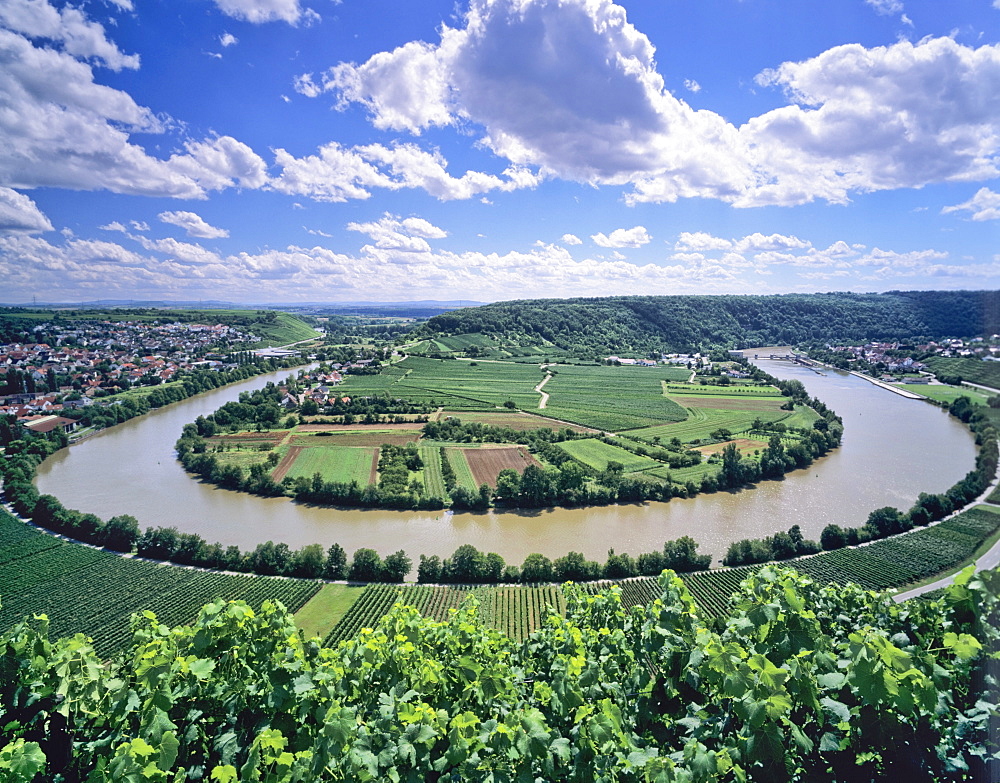 Bight of Neckar River, Mundelsheim, Baden Wurttemberg, Germany, Europe