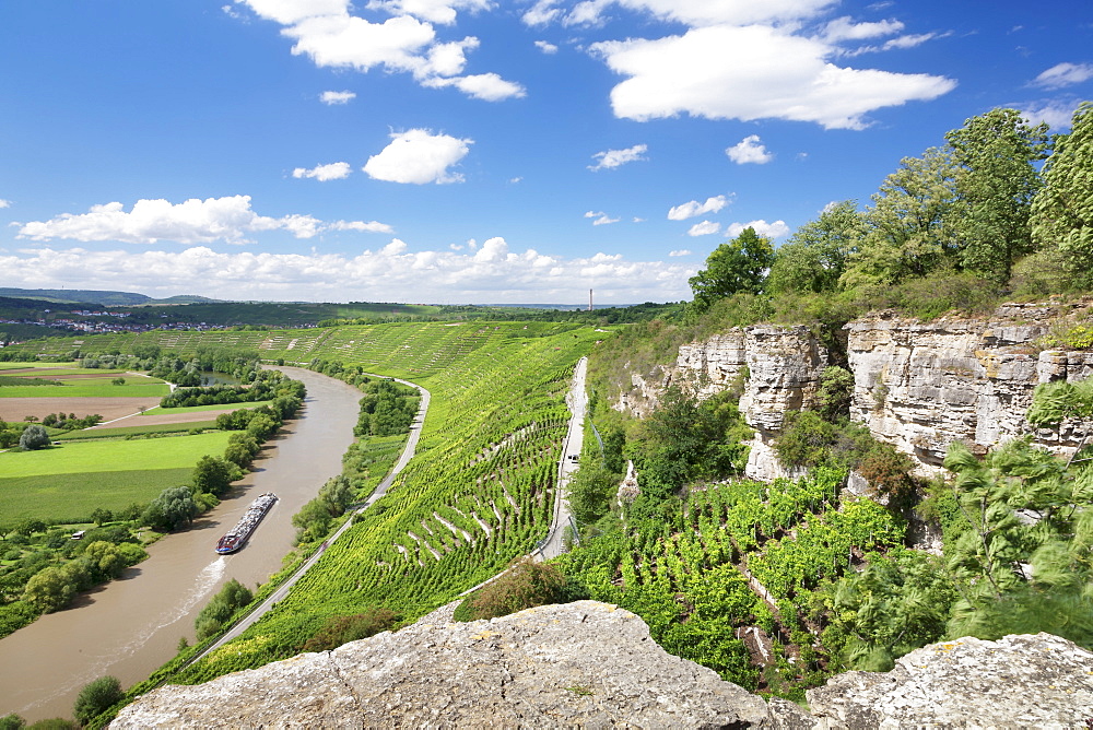 Hessigheim Felsengarten (Rock Gardens), Neckartal Valley, River Neckar, Baden Wurttemberg, Germany, Europe