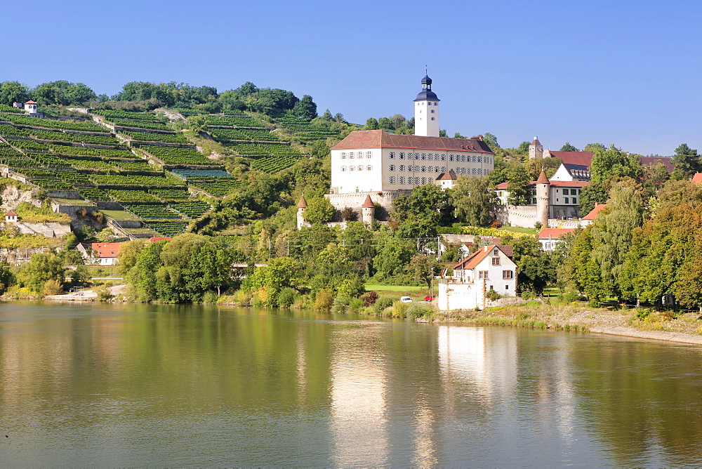 Schloss Horneck Castle, Gundelsheim, Neckartal Valley, Neckar River, Baden Wurttemberg, Germany, Europe