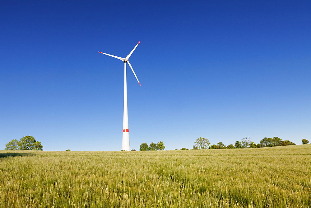 Wind turbine on a field in the evening light, Black Forest, Baden Wurttemberg, Germany, Europe