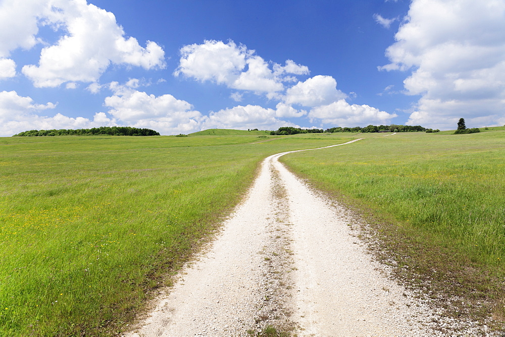 Path through a meadow with cumulus clouds, Swabian Alb, Baden Wurttemberg, Germany, Europe