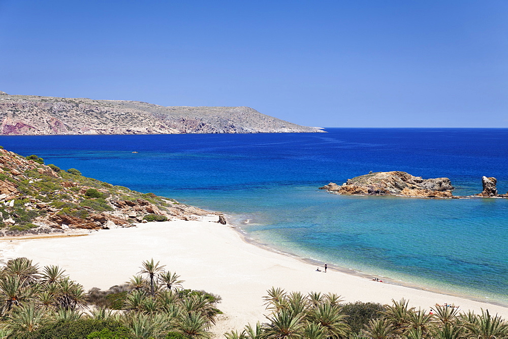 Beach and palm tree forest, Vai, Lasithi,  Eastern Crete, Crete, Greek Islands, Greece, Europe