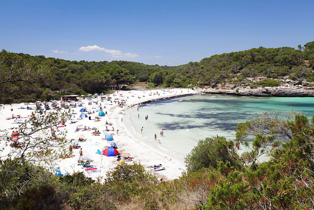 Beach and bay of Cala S' Amarador, Cala Mondrago, near Porto Pedro,  Majorca (Mallorca), Balearic Islands (Islas Baleares), Spain, Mediterranean, Europe