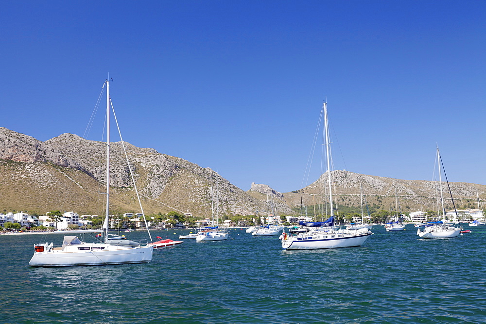 View over the marina to Port de Pollenca, Pollenca, Majorca (Mallorca), Balearic Islands (Islas Baleares), Spain, Mediterranean, Europe