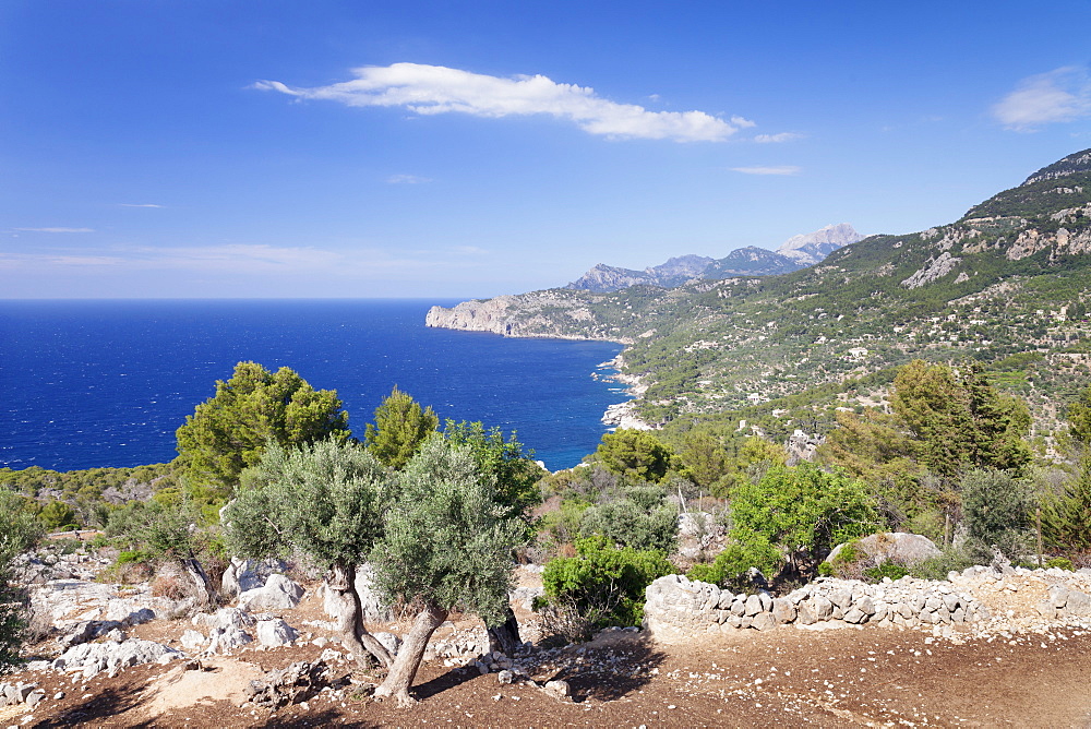 Cala de Deia, North Coast, Sierra de Tramuntana, UNESCO  World Heritage, Majorca (Mallorca), Balearic Islands, Spain, Mediterranean, Europe