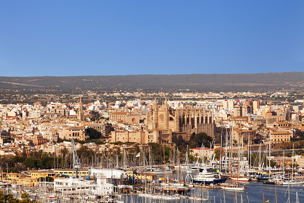 View over the old town of Palma de Mallorca with Cathedral of Santa Maria of Palma (La Seu) and Almudaina Palace, Majorca (Mallorca), Balearic Islands, Spain, Mediterranean, Europe