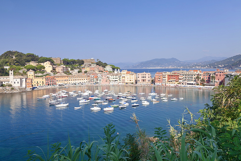 Baia del Silenzio Bay, old town, Sestri Levante, Province Genoa, Riveria di Levante, Liguria, Italy, Europe