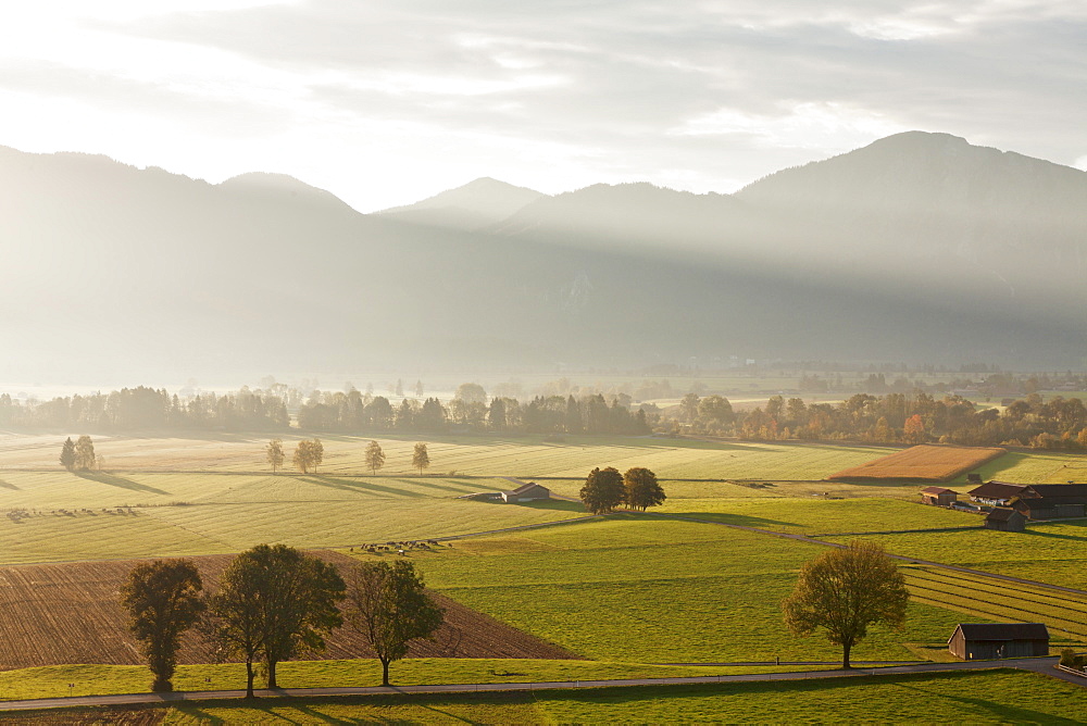 Kochelmoos Moor, Hay Huts, Bavarian Alps, Upper Bavaria, Bavaria, Germany, Europe