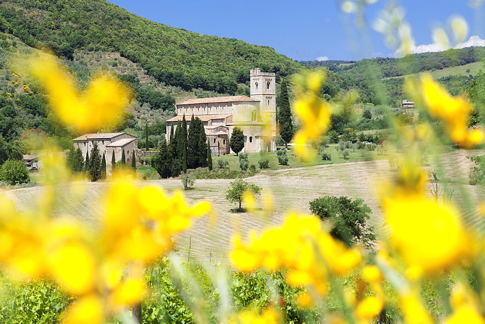 Sant Antimo Abbey, monastery, Castelnuovo dell'Abate, near Montalcino, Val d'Orcia (Orcia Valley), Siena Province, Tuscany, Italy, Europe