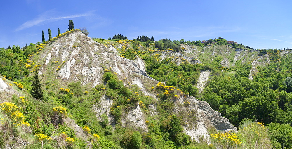 Landscape near San Giovanni d'Asso, Siena Province, Tuscany, Italy, Europe