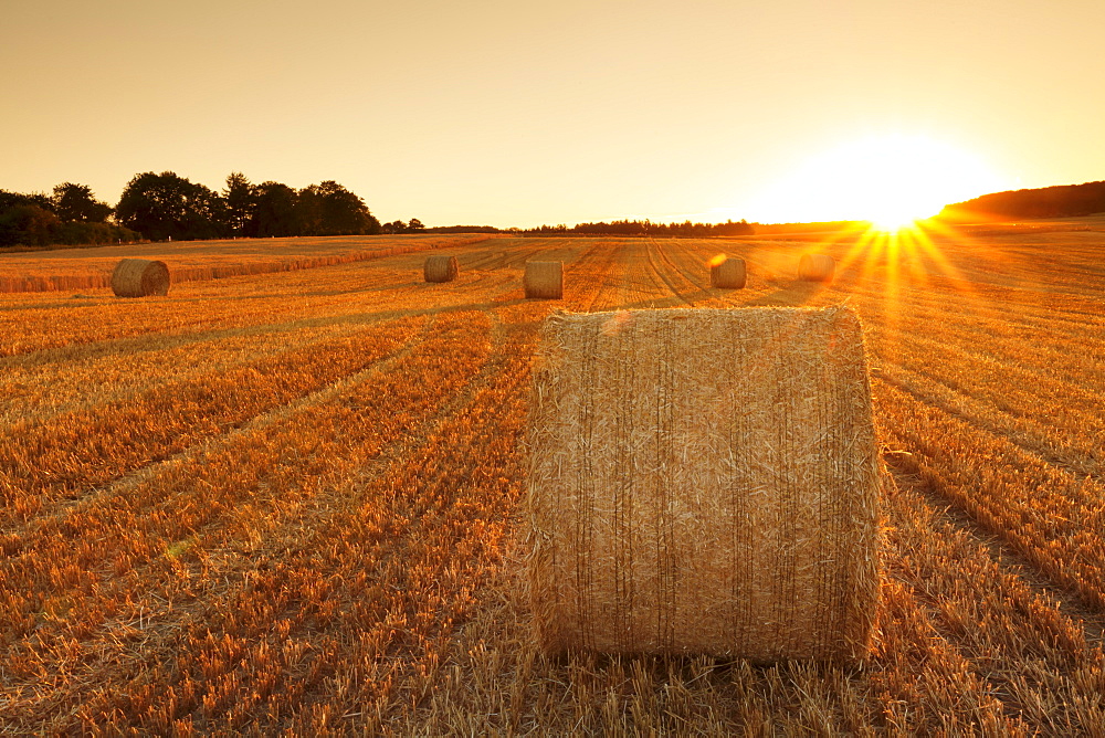 Hay bales at sunset, Swabian Alps, Baden-Wurttemberg, Germany, Europe