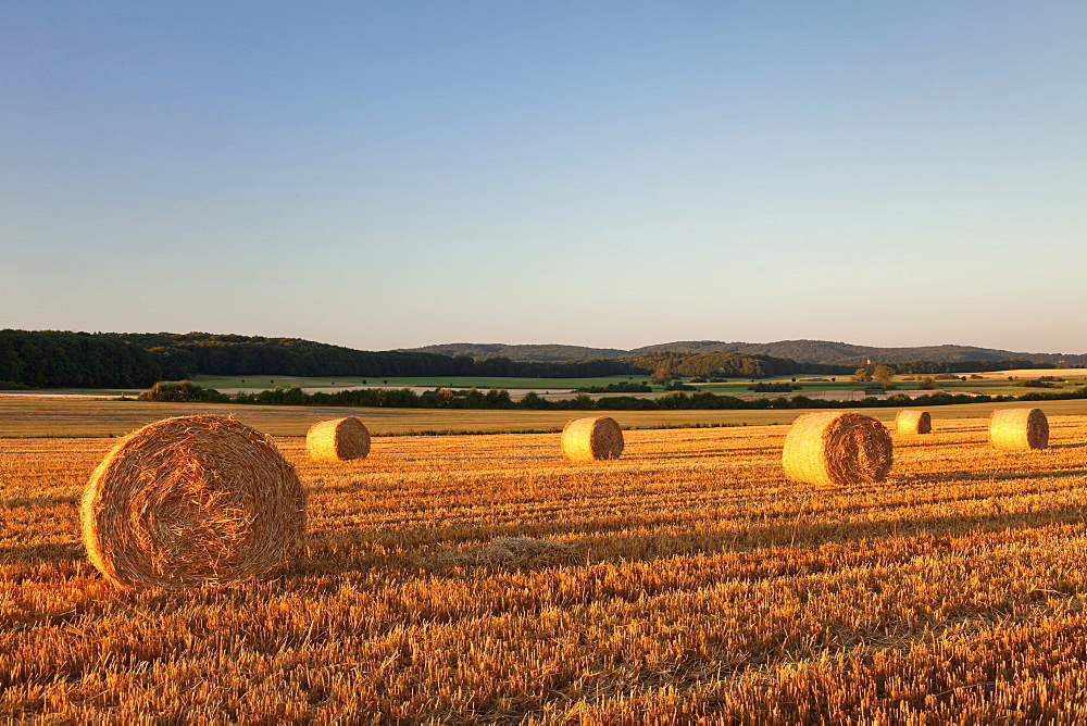 Hay bales at sunset, Swabian Alps, Baden-Wurttemberg, Germany, Europe