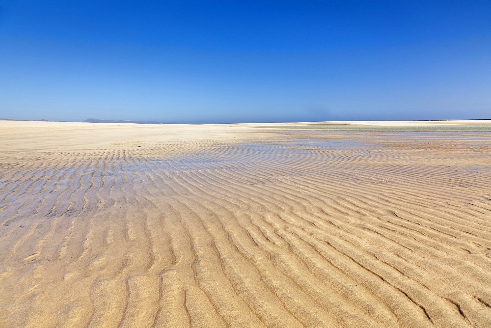 Playa de Sotavento, Risco del Paso, Fuerteventura, Canary Islands, Spain, Atlantic, Europe