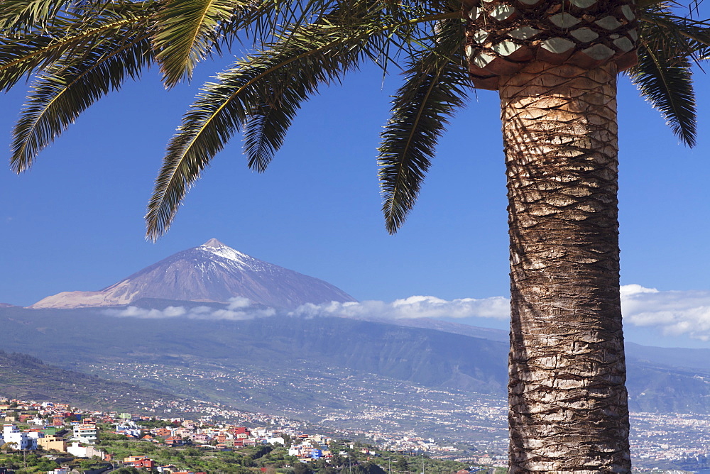 View over Orotava Valley to Pico del Teide, Tenerife, Canary Islands, Spain, Europe