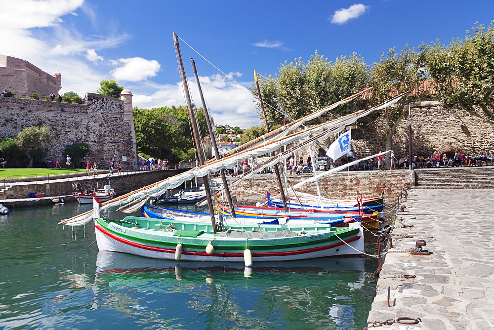 Traditional fishing boats at the port, Chateau Royal Fortress, Collioure, Pyrenees-Orientales, Languedoc-Roussillon, France, Europe