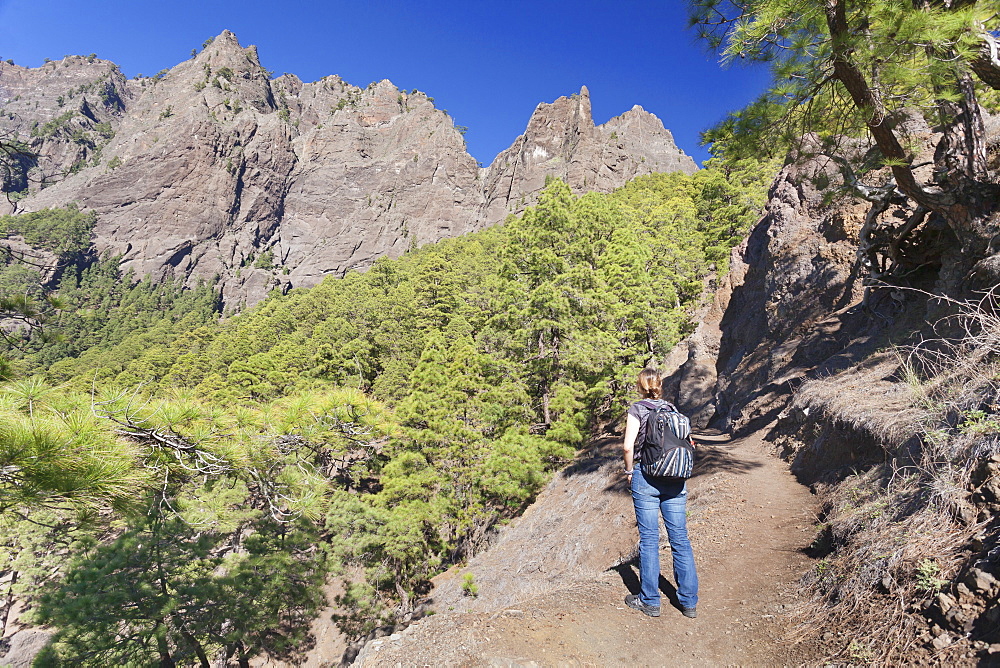 Hiker on a hiking path from Los Brecitos through Caldera de Taburiente, Parque Nacional de la Caldera de Taburiente, UNESCO Biosphere Reserve, La Palma, Canary Islands, Spain, Europe