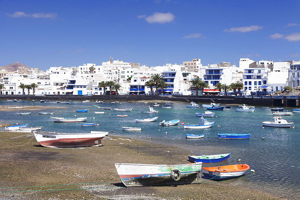 Fishing boats at Charco San Gines laguna, Arrecife, Lanzarote, Canary Islands, Spain, Atlantic, Europe