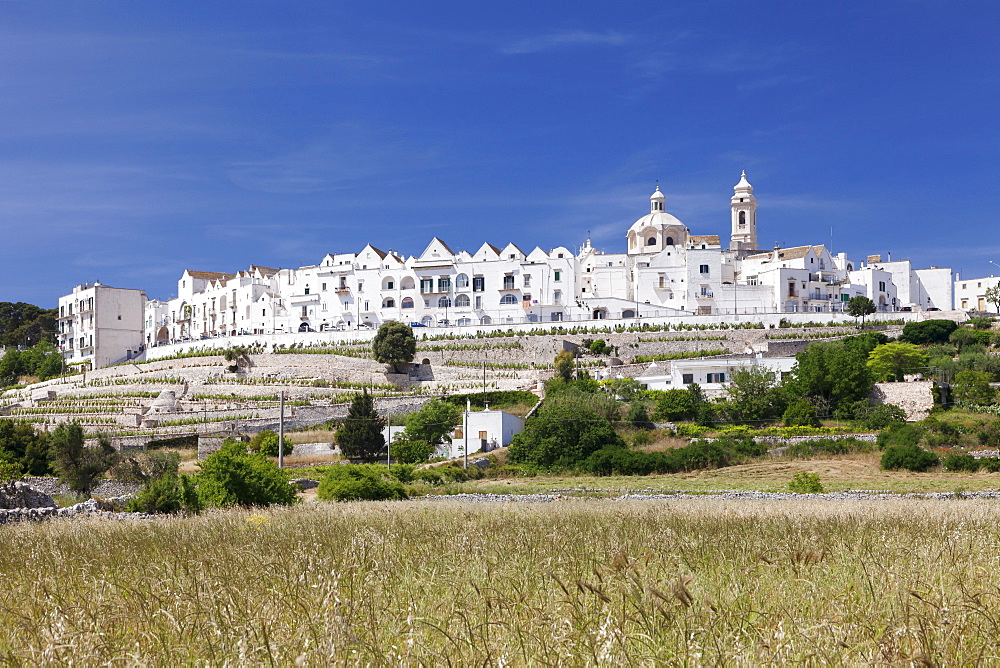 Locorotondo, Valle d'Itria, Bari district, Puglia, Italy, Europe