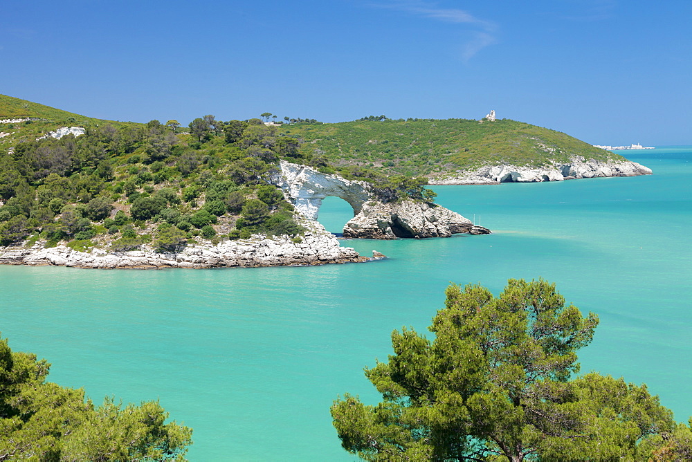 Cala San Felice bay with Architiello di San Felice rock arch, Gargano, Foggia Province, Puglia, Italy, Mediterranean, Europe