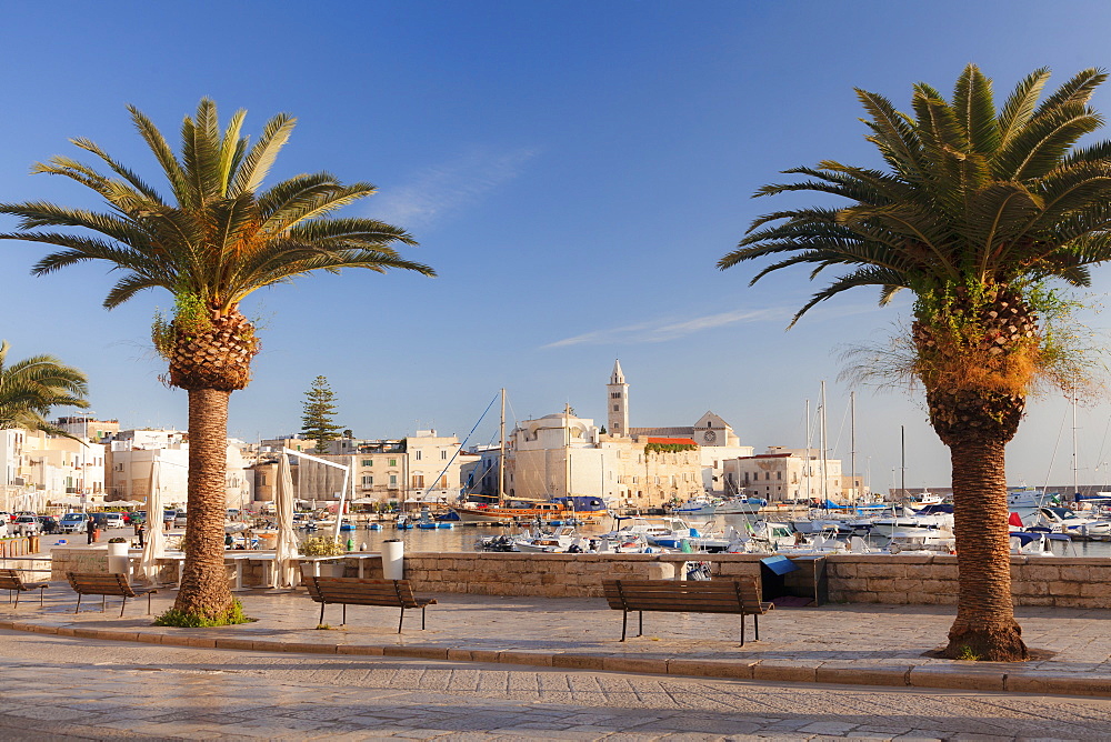 View over the harbour to San Nicola Pellegrino cathedral, Trani, Le Murge, Barletta-Andria-Trani district, Puglia, Italy, Mediterranean, Europe