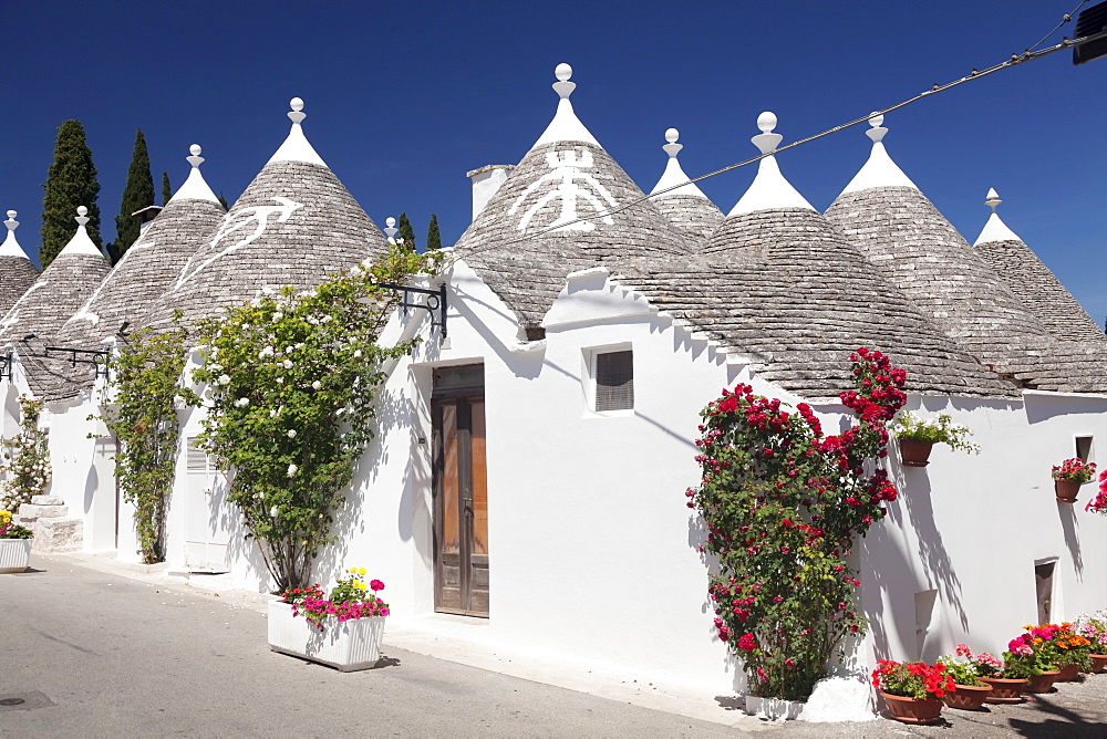 Trulli, traditional houses, Rione Monti area, Alberobello, UNESCO World Heritage Site, Valle d'Itria, Bari district, Puglia, Italy, Europe