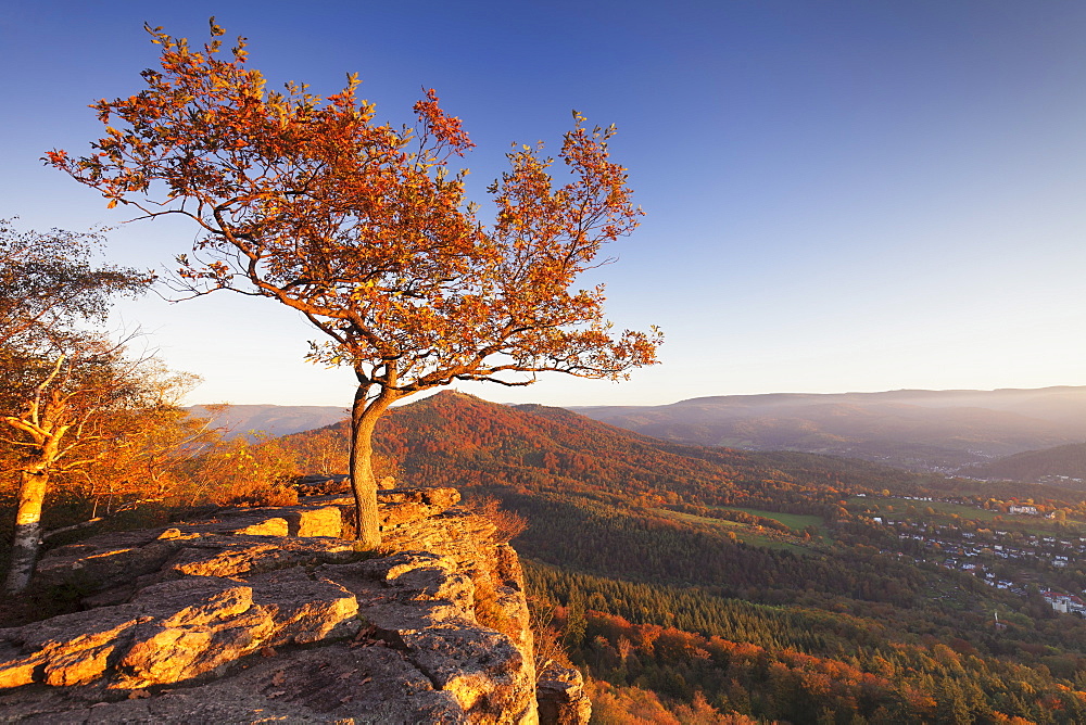 View from Battert Rocks, Merkur Mountain, Baden Baden, Black Forest, Baden Wurttemberg, Germany, Europe