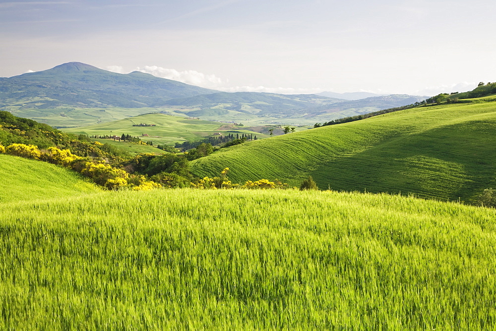 Hilly landscape Val d'Orcia, UNESCO World Heritage Site, with Monte Amiata in the background, Province Siena, Tuscany, Italy, Europe