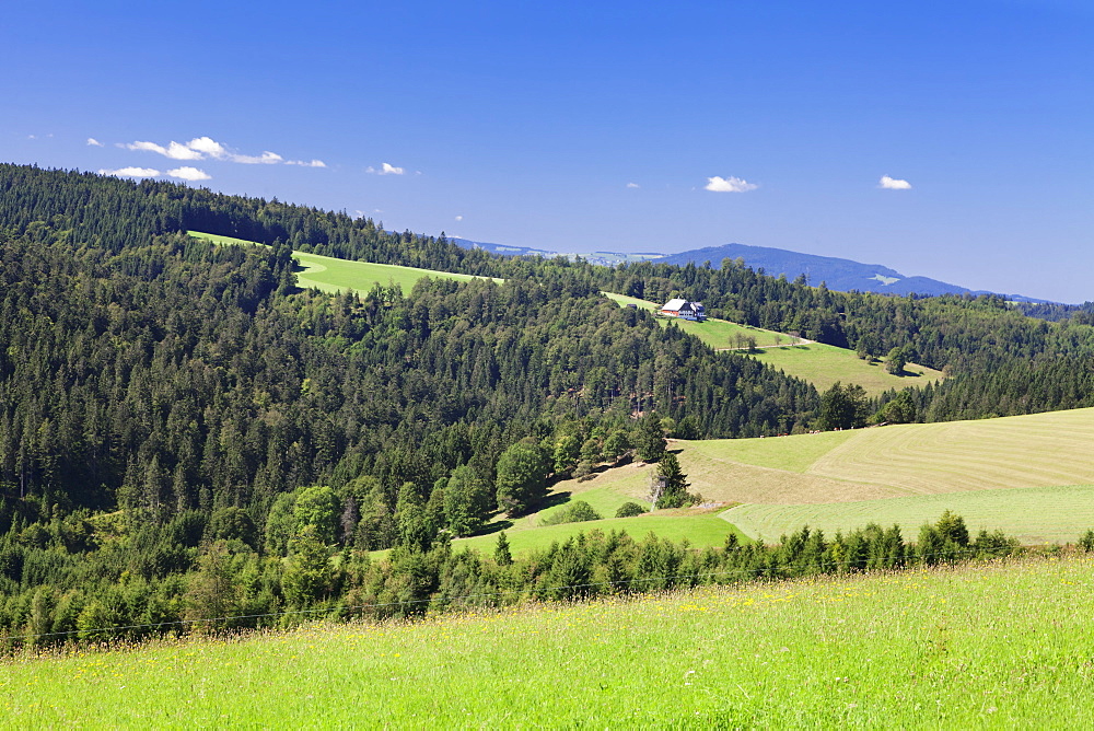 Landscape with farmhouse, near Schonwald, Black Forest, Baden Wurttemberg, Germany, Europe