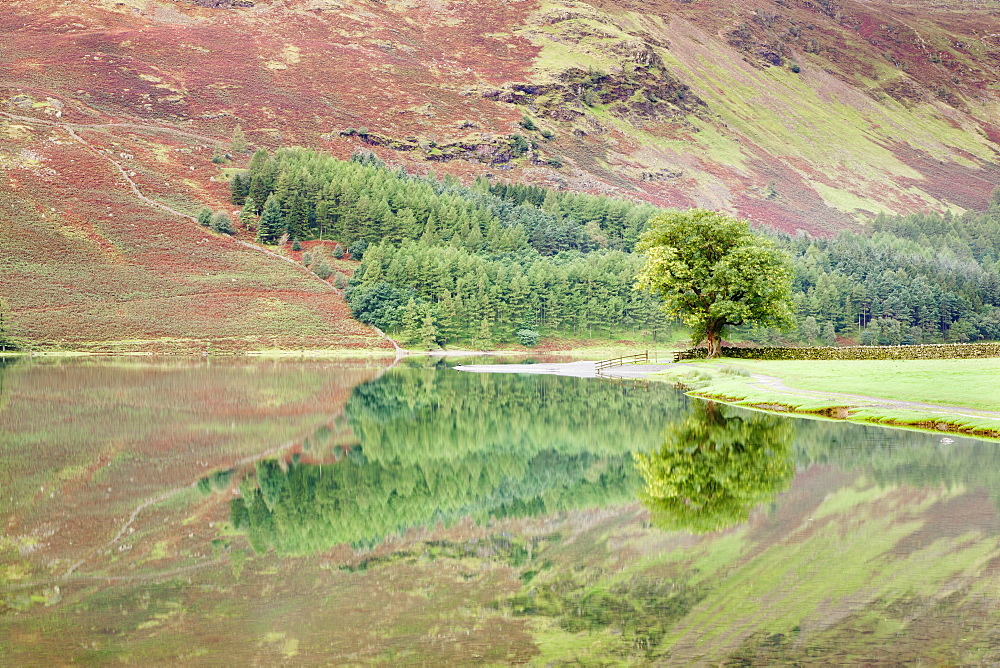 Buttermere Lake, Lake District National Park, Cumbria, England, United Kingdom, Europe