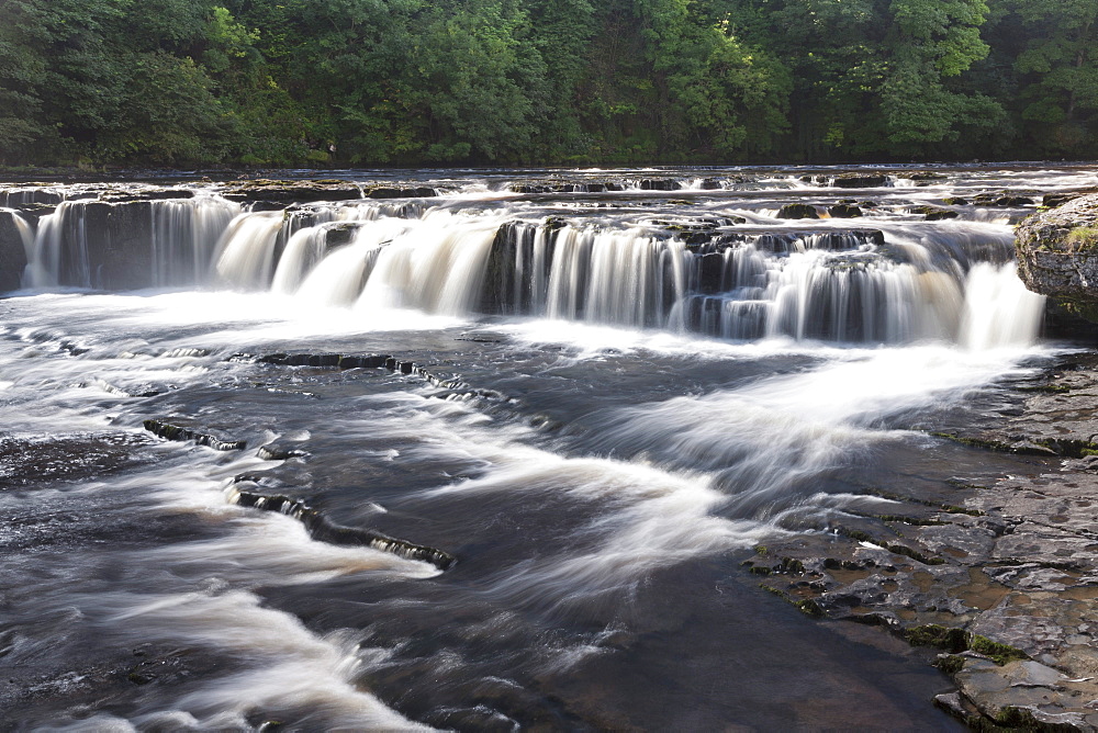 Aysgarth Falls, Yorkshire Dales, Yorkshire, England, United Kingdom, Europe