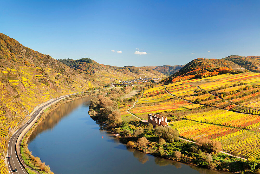 Loop of Moselle River near Bremm with ruined abbey Stuben, Rhineland-Palatinate, Germany, Europe