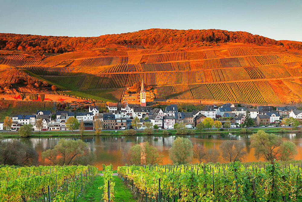 View of Merl district, Moselle Valley, Zell an der Mosel, Rhineland-Palatinate, Germany, Europe