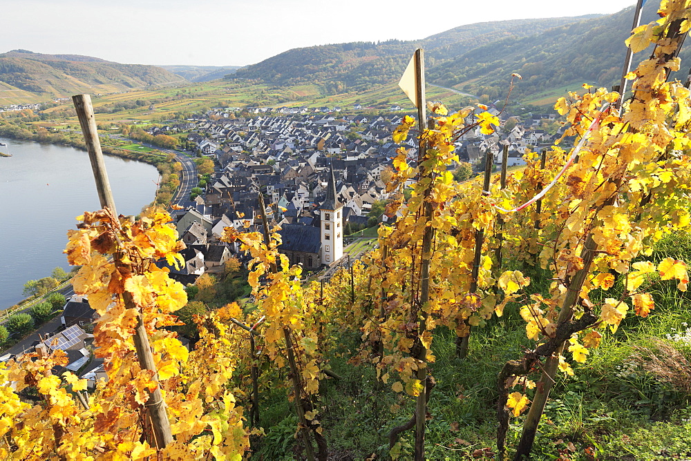 View from Calmont Hill to Bremm, Moselle Valley, Rhineland-Palatinate, Germany, Europe