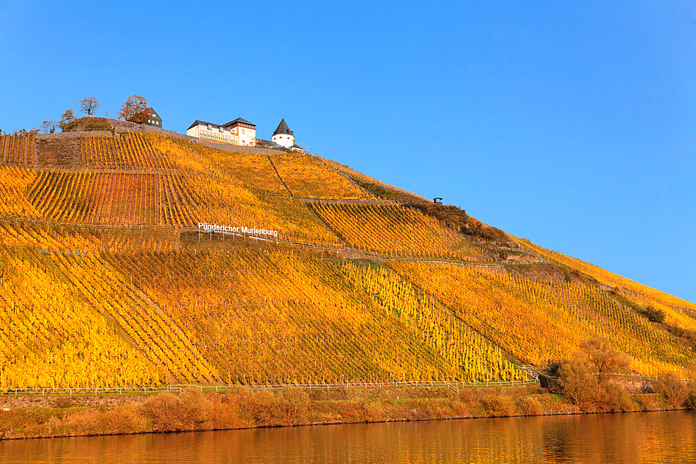 Marienburg Castle, Moselle River, Punderich, Rhineland-Palatinate, Germany, Europe