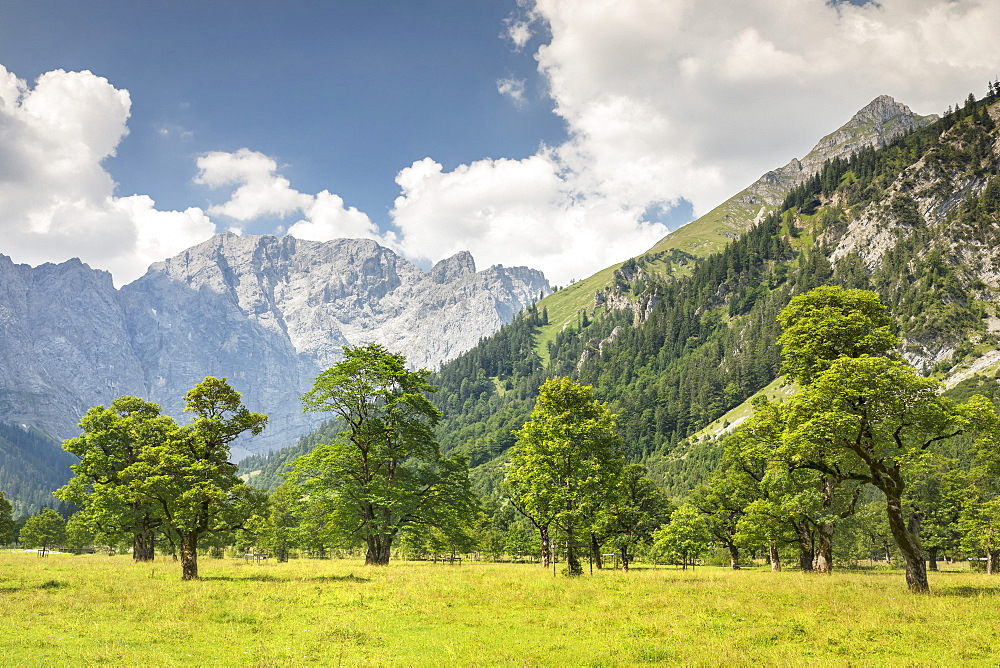 Grosser Ahornboden, maple trees, Karwendel mountains, nature reserve, Eng, Hinterriss, Tyrol, Austria, Europe