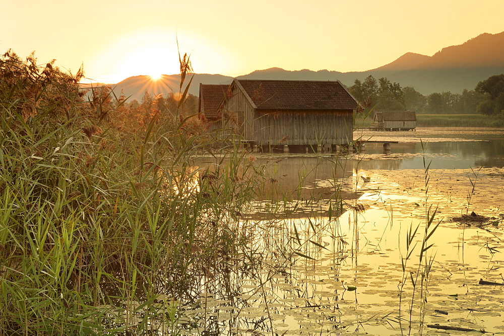 Boathouses at Kochelsee Lake at sunrise, Upper Bavaria, Bavaria, Germany, Europe