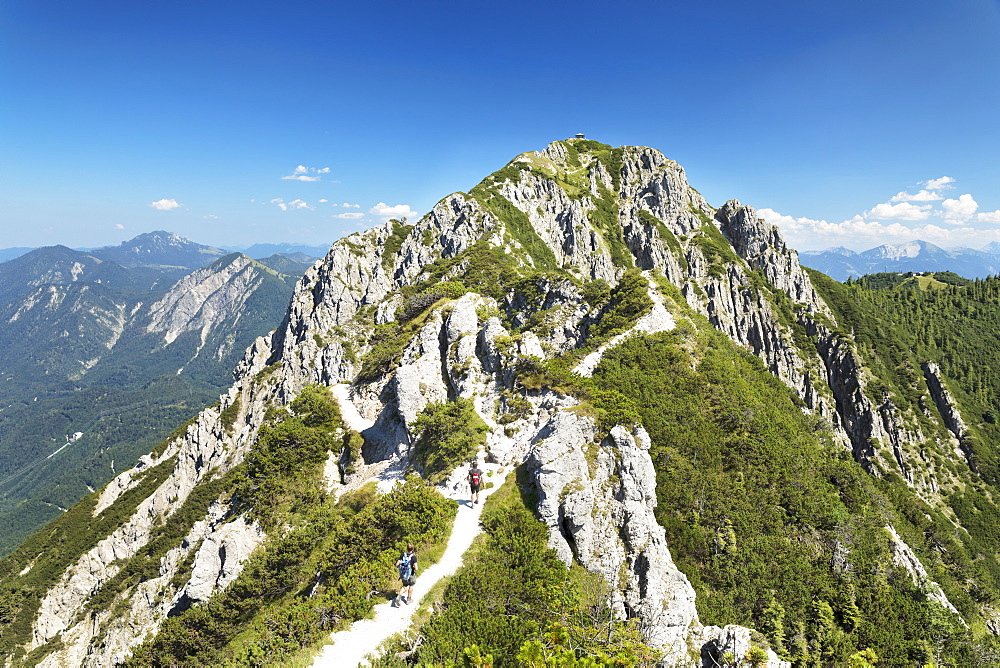 Hikers on Gratweg Trail from Heimgarten to Herzogstand Mountain, Upper Bavaria, Bavaria, Germany, Europe