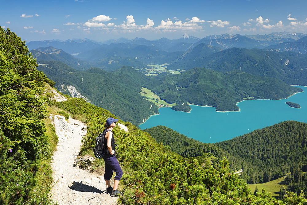 Hiker enjoying the view to Walchensee Lake on trail to Herzogstand mountain, Upper Bavaria, Bavaria, Germany, Europe