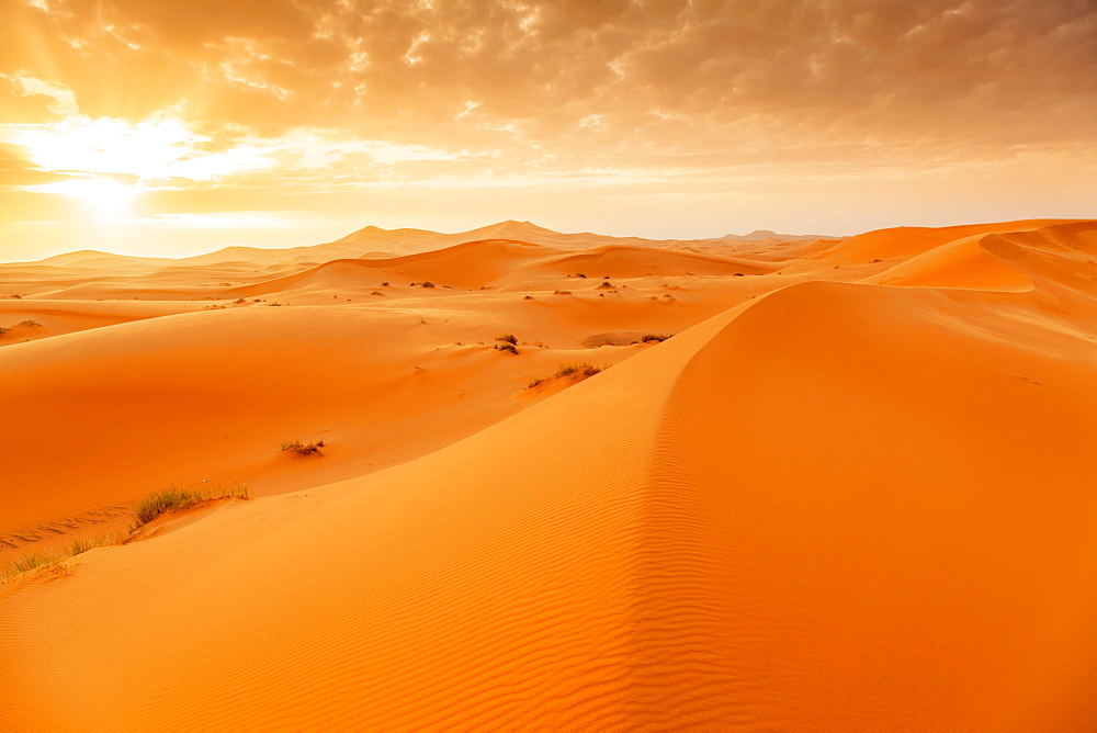 Erg Chebb at sunrise, Sahara Desert, Southern Morocco, North Africa, Africa