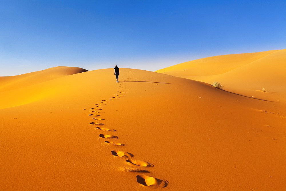 Sand Dunes, Erg Chebbi, Sahara Desert, Southern Morocco, Morocco, North Africa, Africa