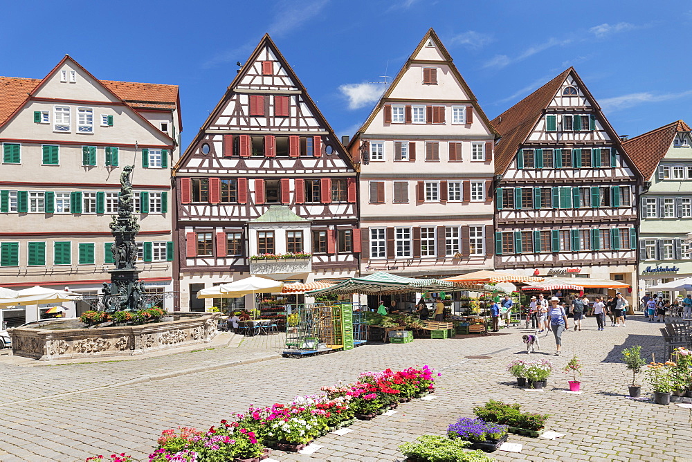 Market day at market square, Tubingen, Baden-Wurttemberg, Germany, Europe