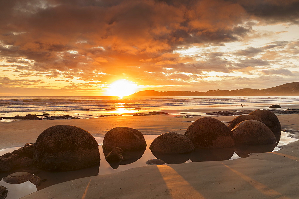 Moeraki Boulders at sunrise, Otago, South Island, New Zealand, Pacific