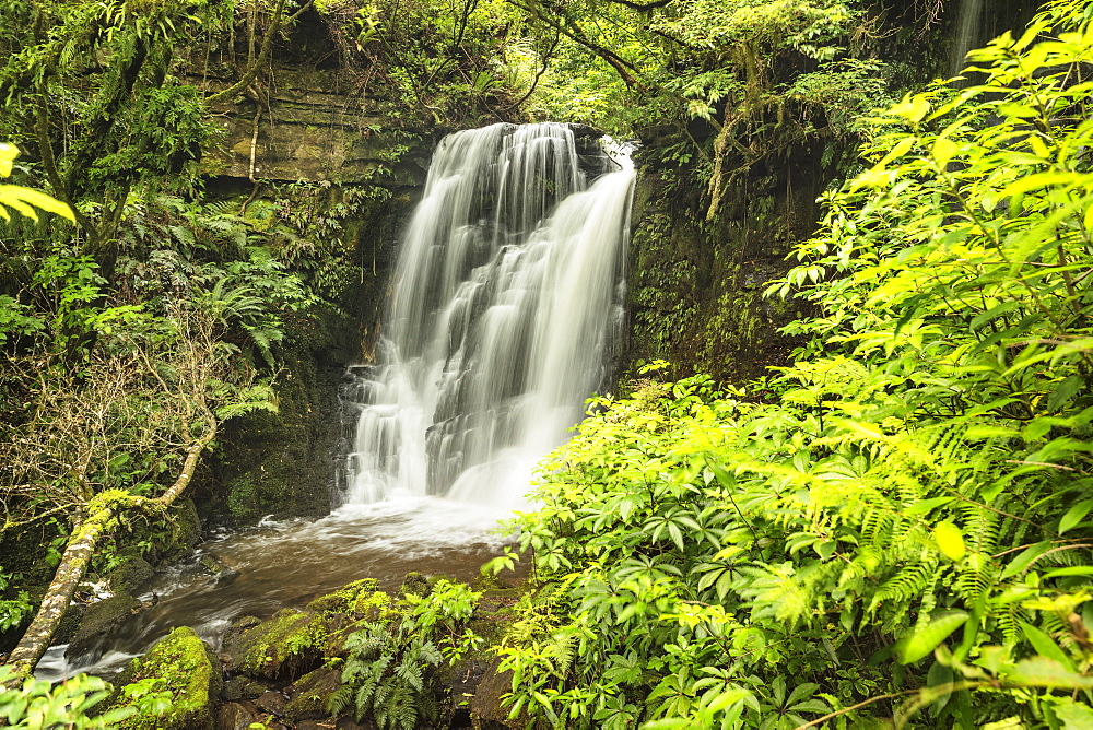 Horseshoe Falls, Matai Stream, Matai Falls Walk, The Catlins, South Island, New Zealand, Pacific