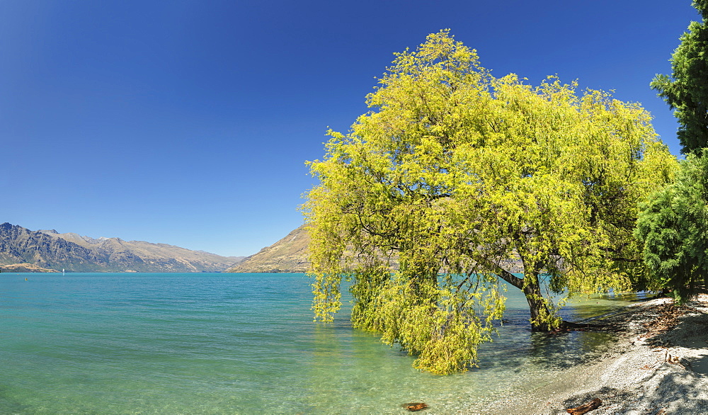 At the shore of Lake Wakatipu, Queenstown, Otago, South Island, New Zealand, Pacific