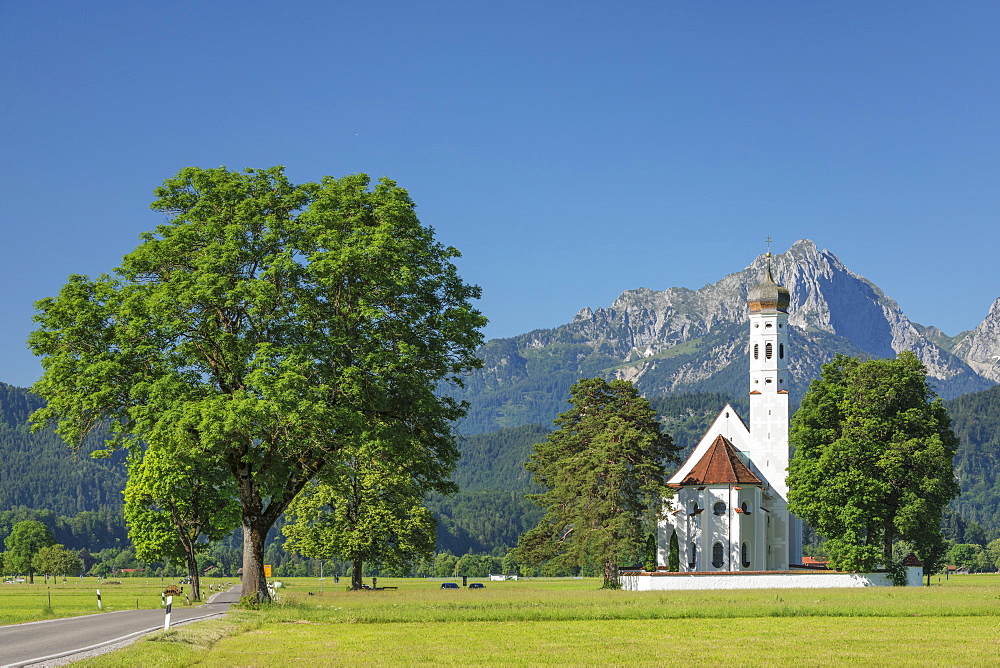 Pilgrimage church of St. Coloman, Schwangau, Allgau, Schwaben, Bavaria, Germany, Europe