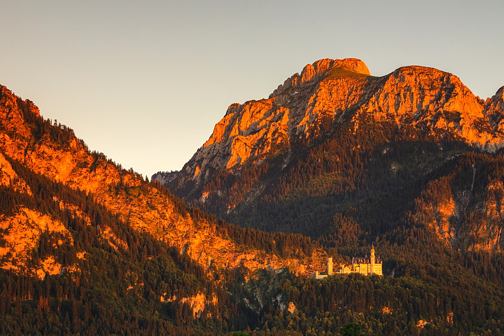 Neuschwanstein Castle at sunset, Schwangau, Allgau, Schwaben, Bavaria, Germany, Europe